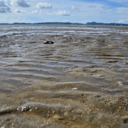 2017-03 New Zealand/Hunua/DSC_0271.JPG